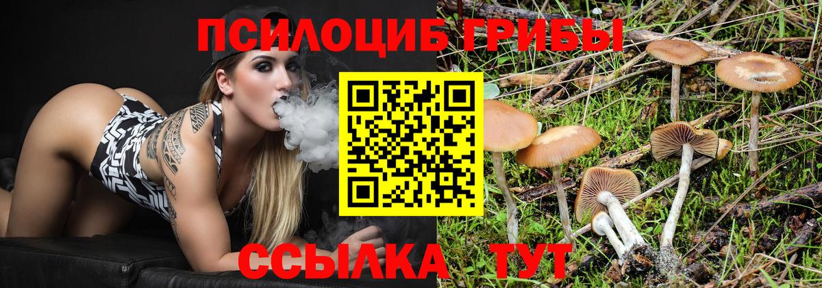 где найти наркотики  Псилоцибиновые грибы Psilocybe  Лянтор  Вход с VPN  Галлюциногенные грибы мицелий 