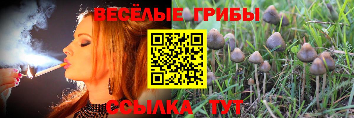 Псилоцибиновые грибы прущие грибы Лянтор